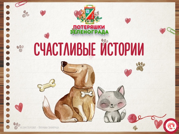 "ПОТЕРЯШКИ ЗЕЛЕНОГРАДА"  - помощь животным