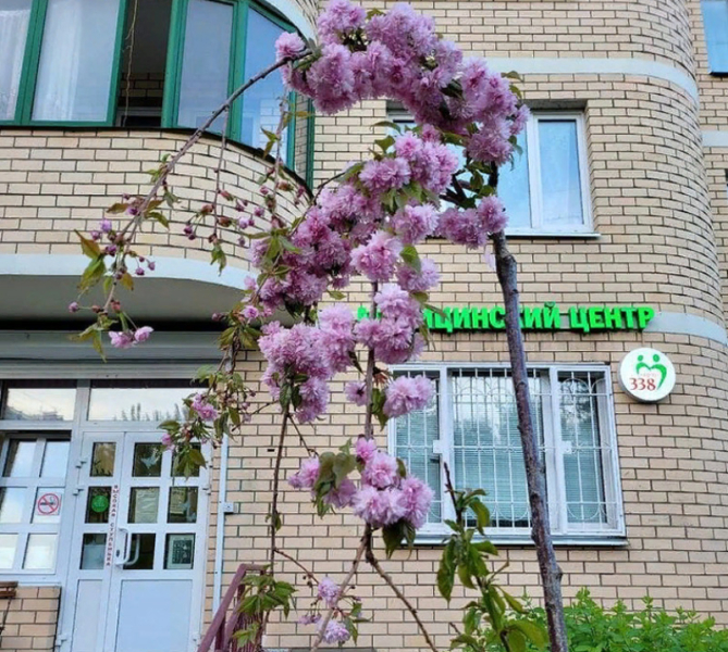 НАС РЕКОМЕНДУЮТ!
