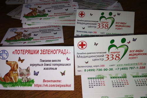 Медицинский центр 338 поддерживает группу ПОТЕРЯШКИ ЗЕЛЕНОГРАДА ПОТЕРЯШКИ ЗЕЛЕНОГРАДА